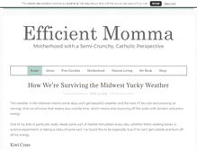 Tablet Screenshot of efficientmomma.com